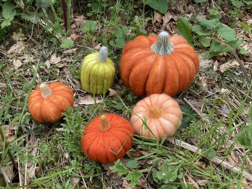 Felt pumpkin sample C