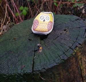Craft Walk Owl Pebble