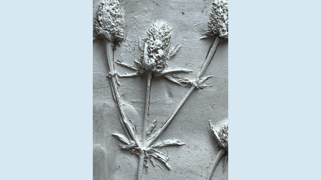 Feature Image - Plaster Cast