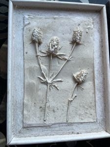Plaster Cast thistles in frame